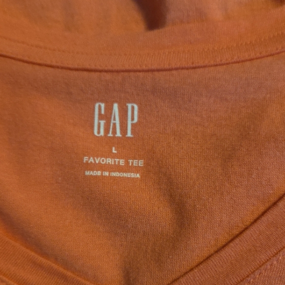 GAP Coral V-Neck Short Sleeve Tee - Picture 4 of 4
